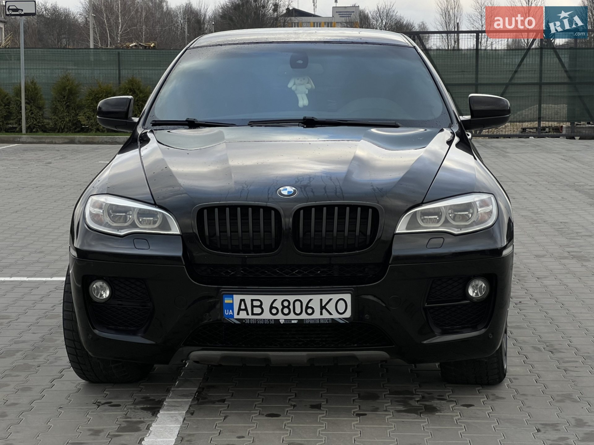 2011 BMW X6 - мініатюра 3