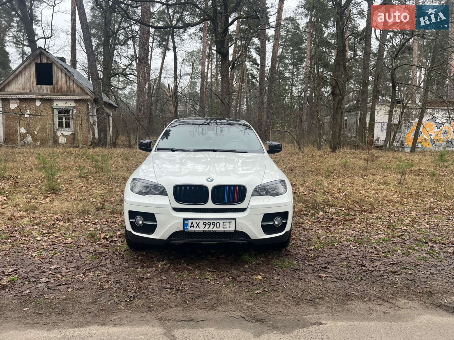 2011 BMW X6 - мініатюра 2