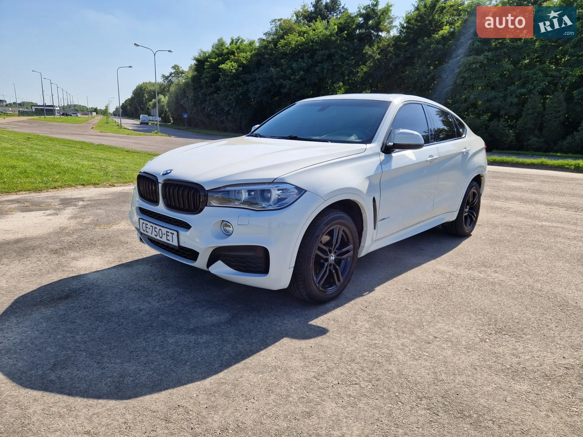 2014 BMW X6 - мініатюра 7