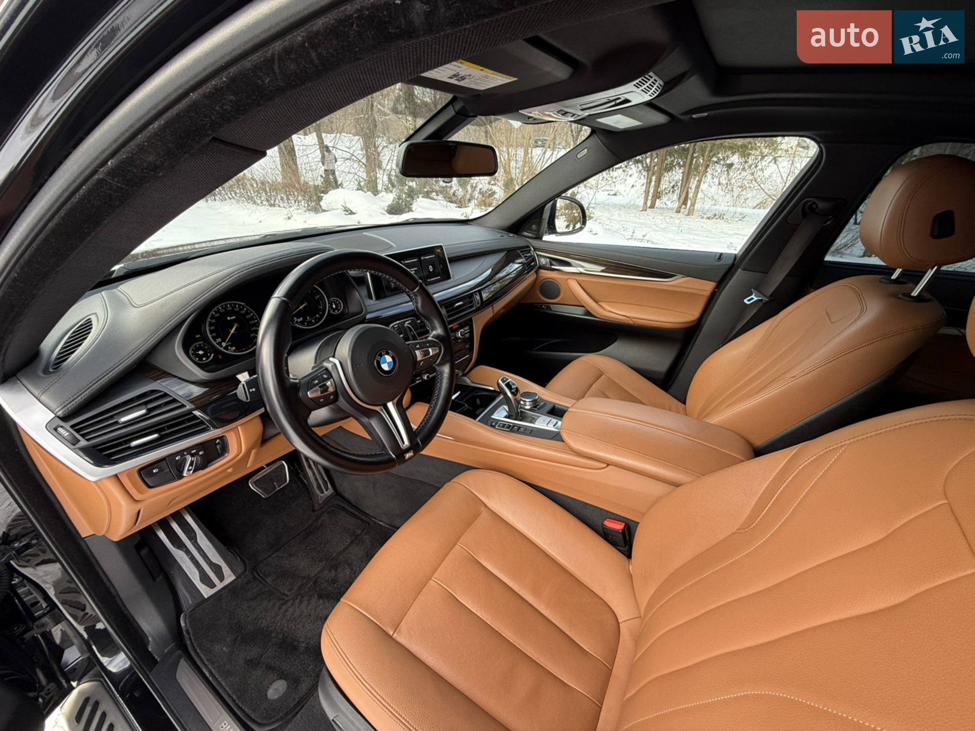 2017 BMW X6 - мініатюра 15