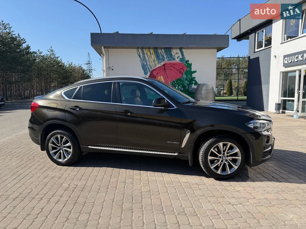 2017 BMW X6 - мініатюра 47