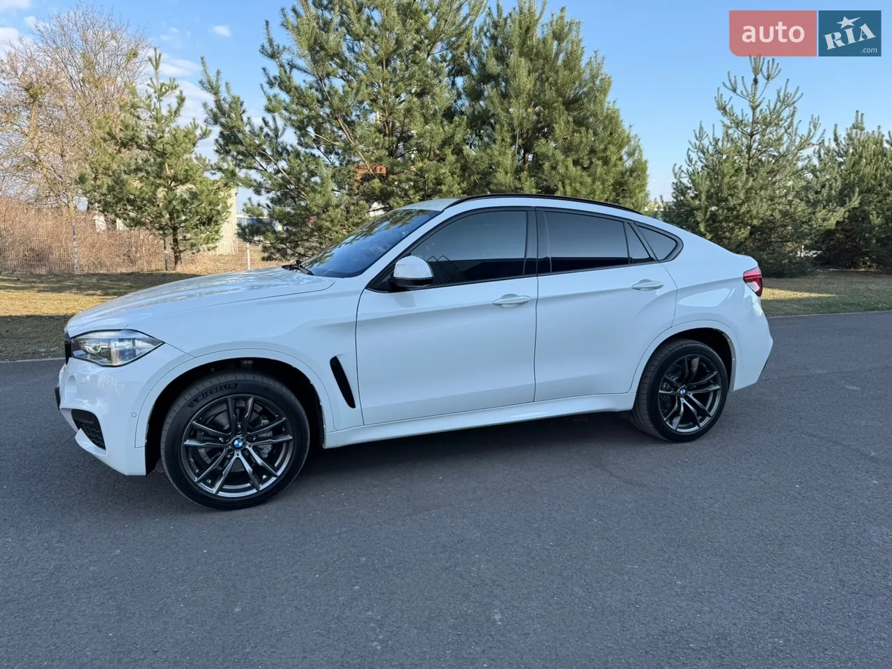 2018 BMW X6 - мініатюра 48