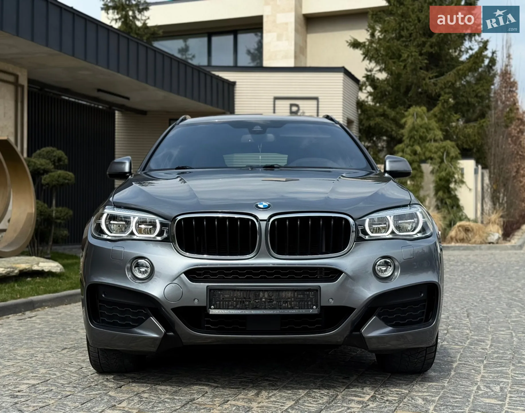 2018 BMW X6 - мініатюра 3
