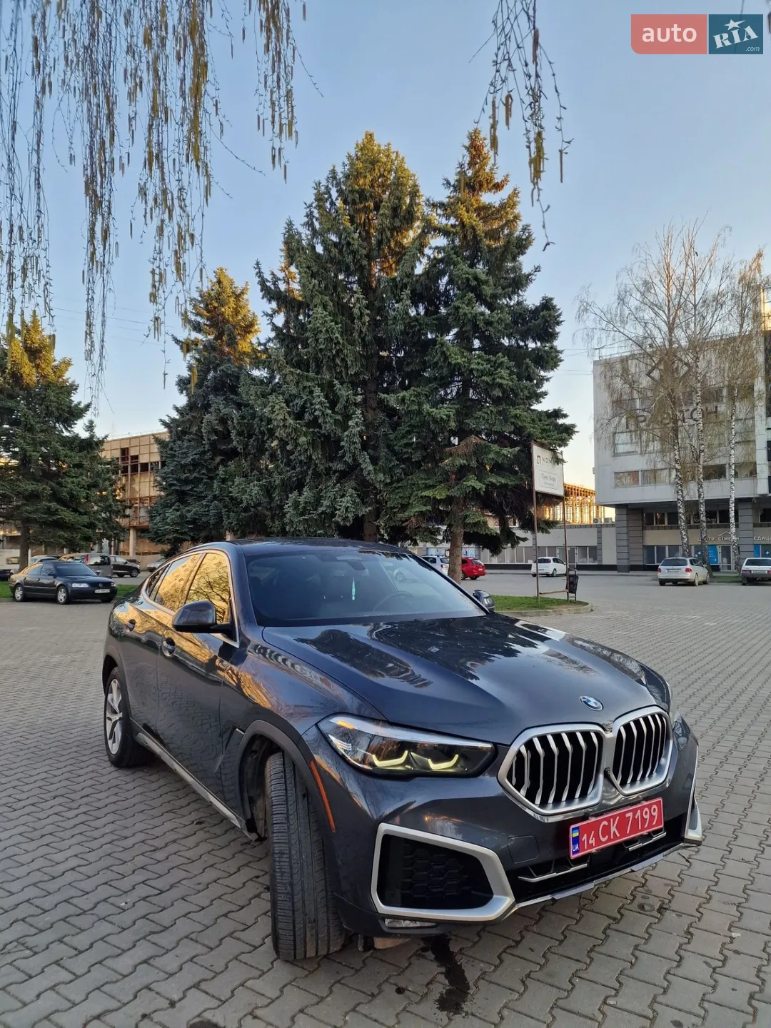 2020 BMW X6 - мініатюра 9