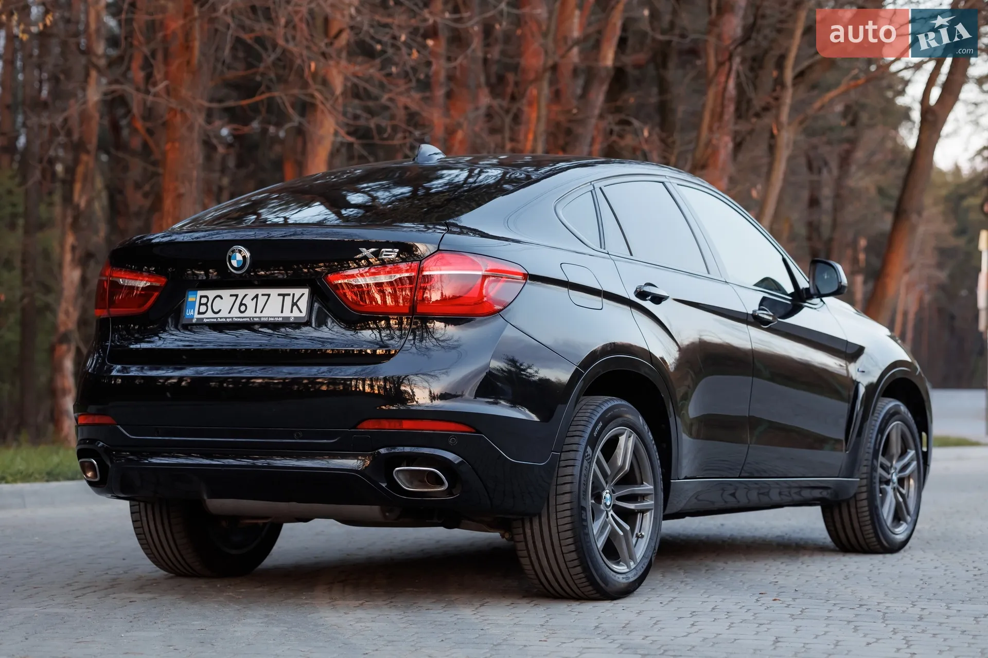 2017 BMW X6 - мініатюра 15