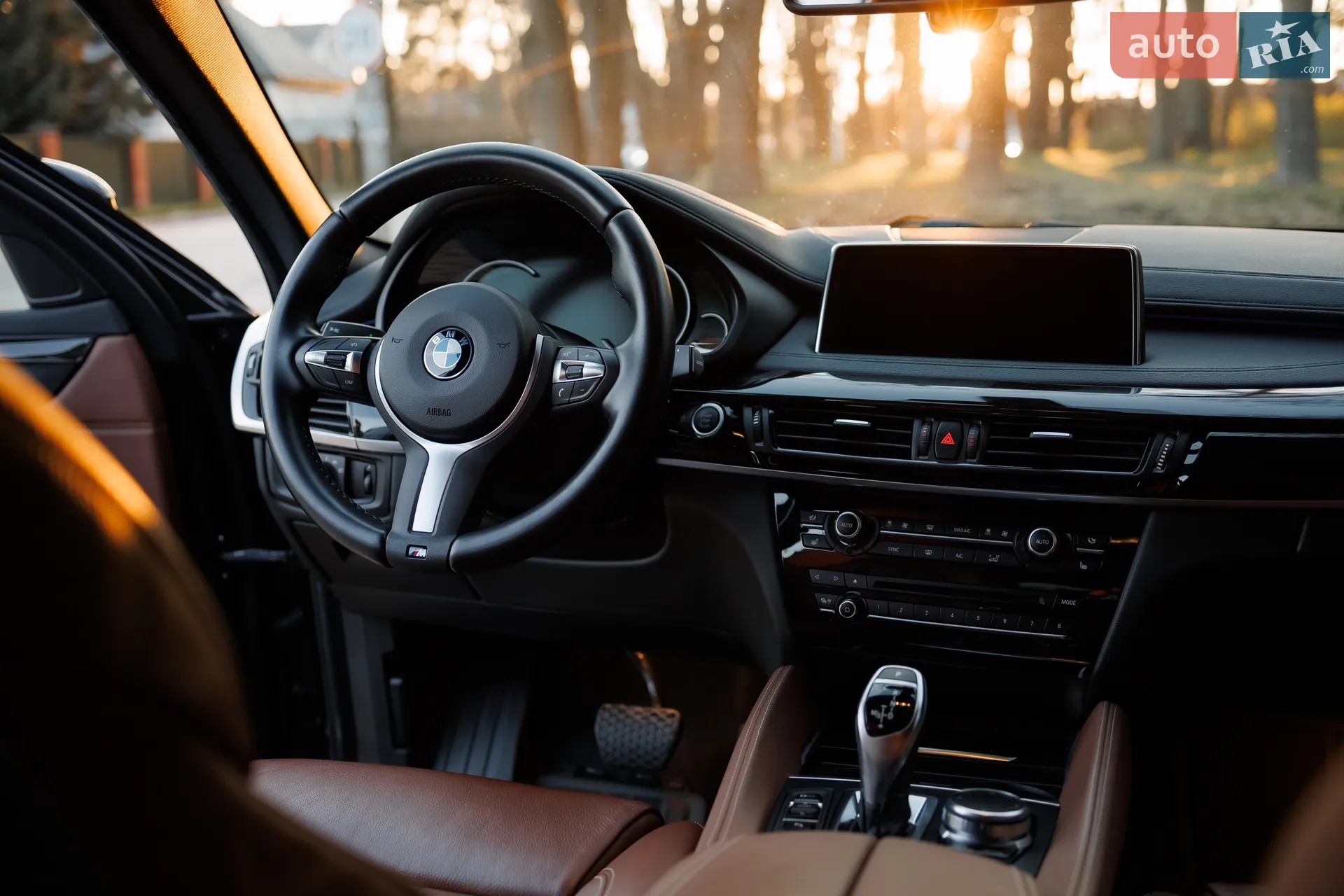 2017 BMW X6 - мініатюра 35