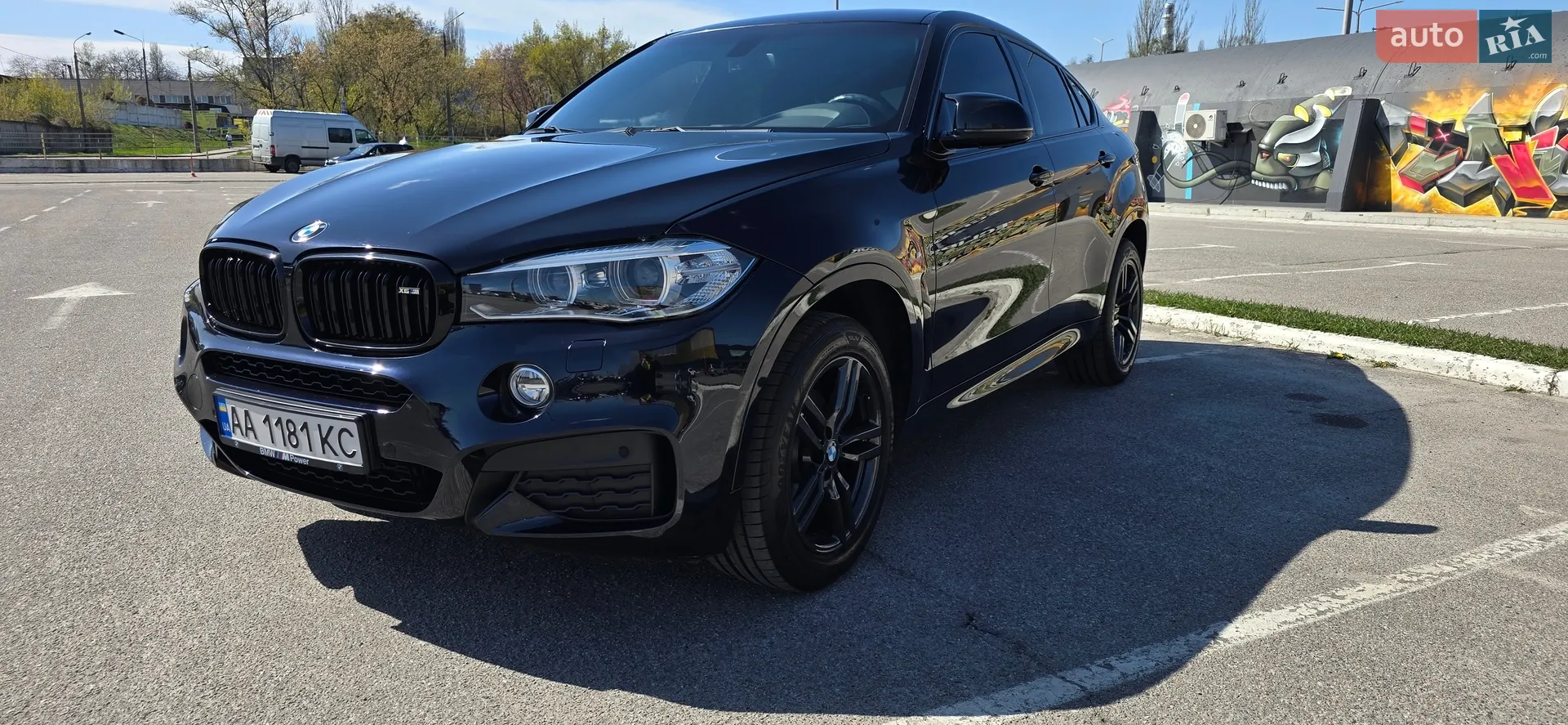 2016 BMW X6 - мініатюра 7