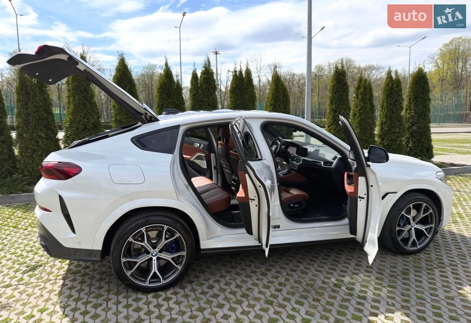 2021 BMW X6 - мініатюра 9