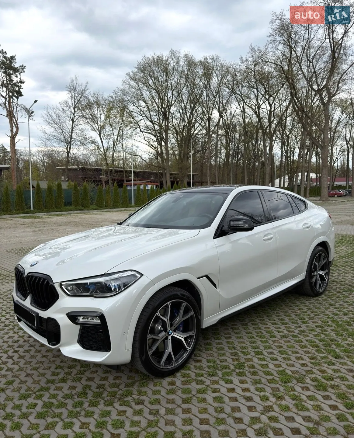 2021 BMW X6 - мініатюра 4