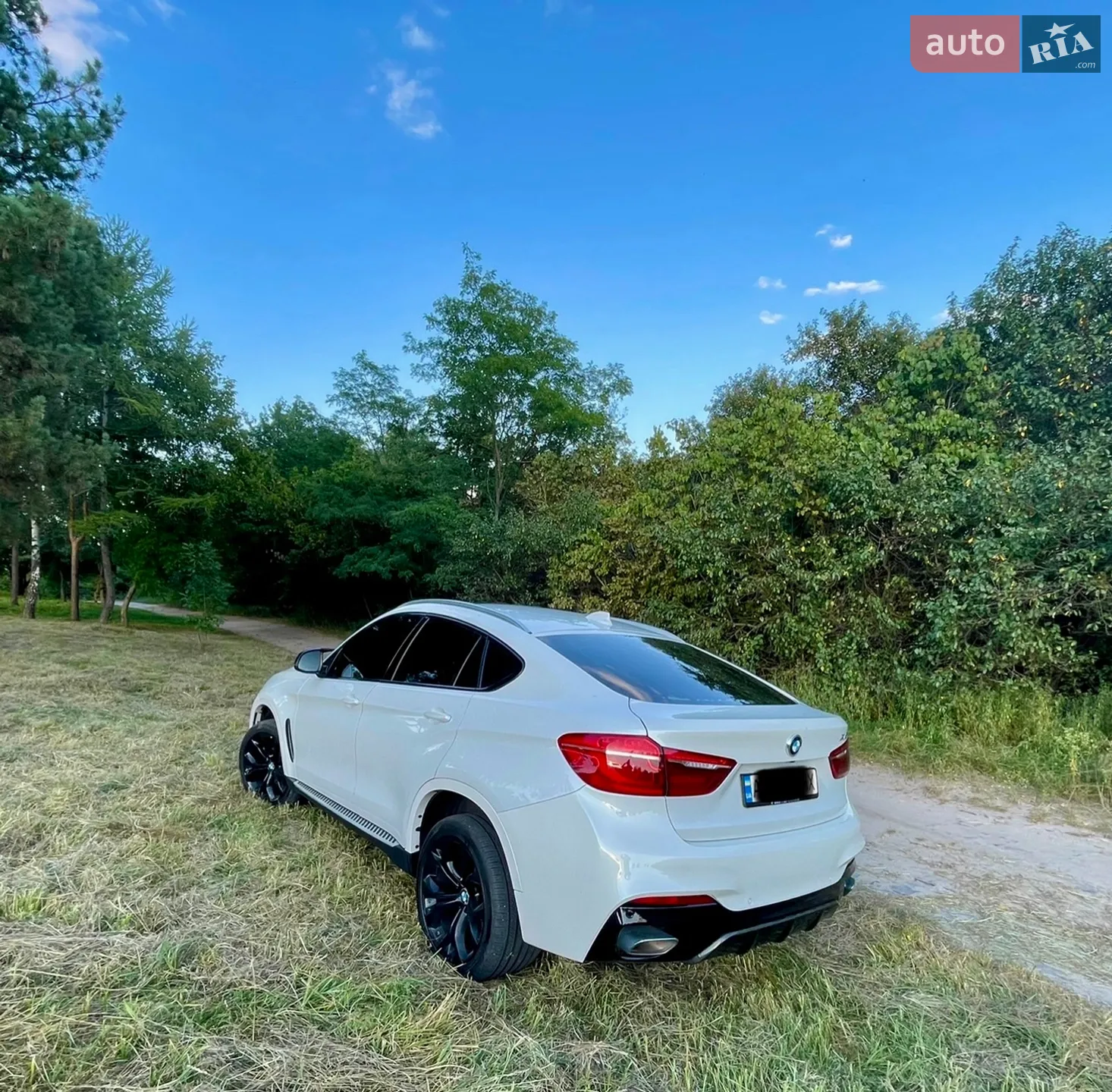 2018 BMW X6 - мініатюра 18