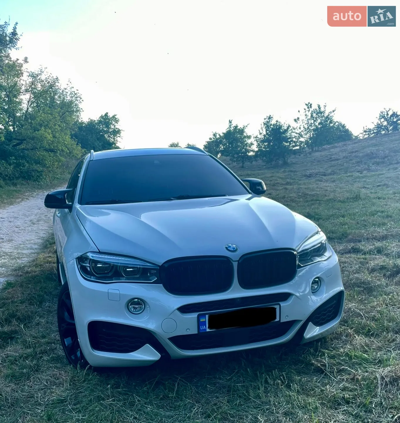 2018 BMW X6 - мініатюра 25