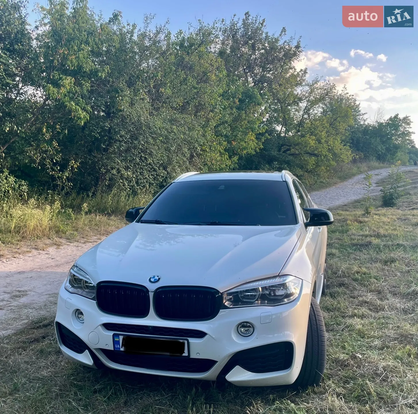 2018 BMW X6 - мініатюра 29