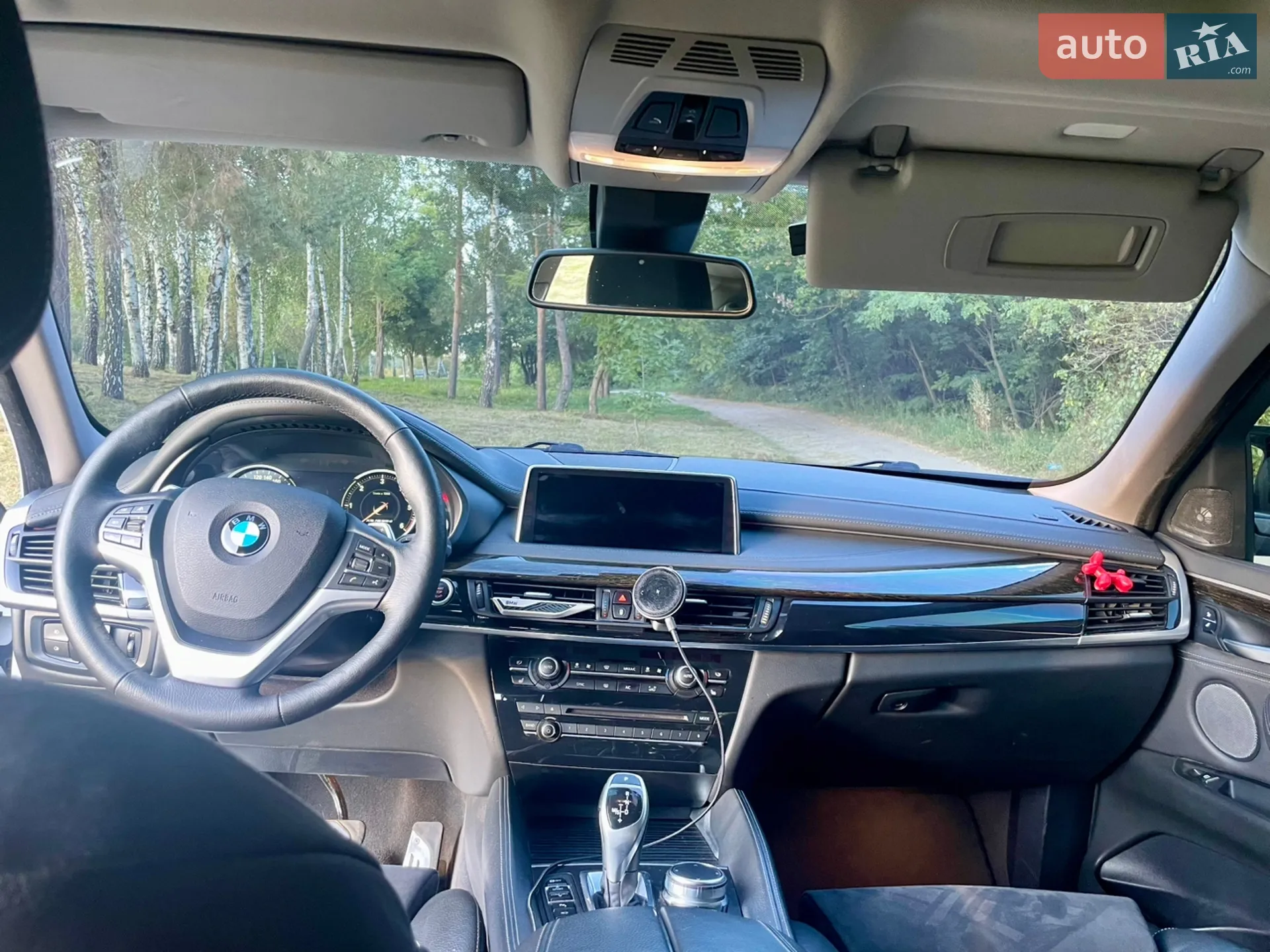 2018 BMW X6 - мініатюра 36