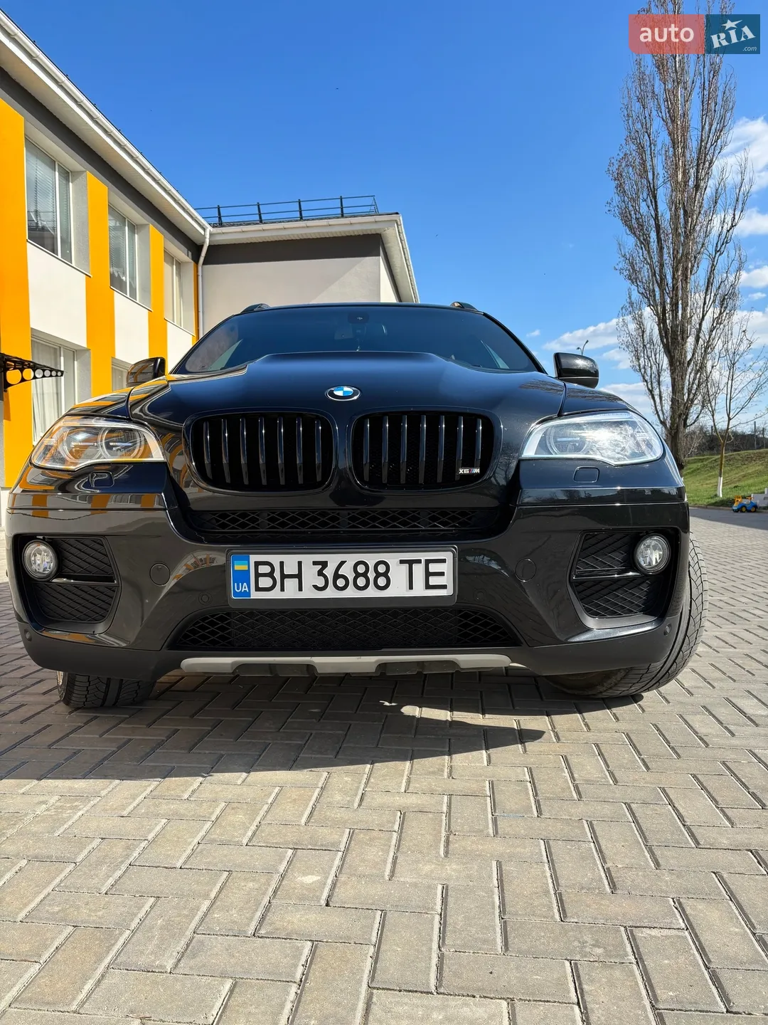 2013 BMW X6 - мініатюра 7