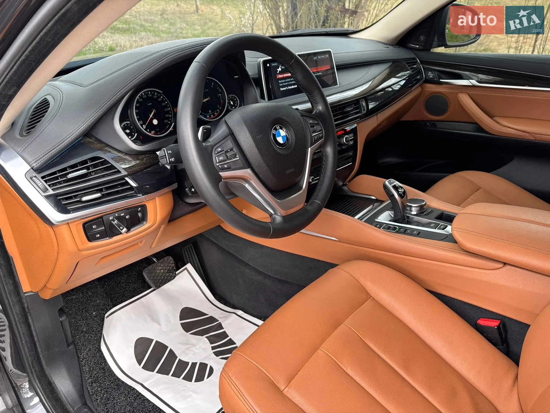 2018 BMW X6 - мініатюра 9