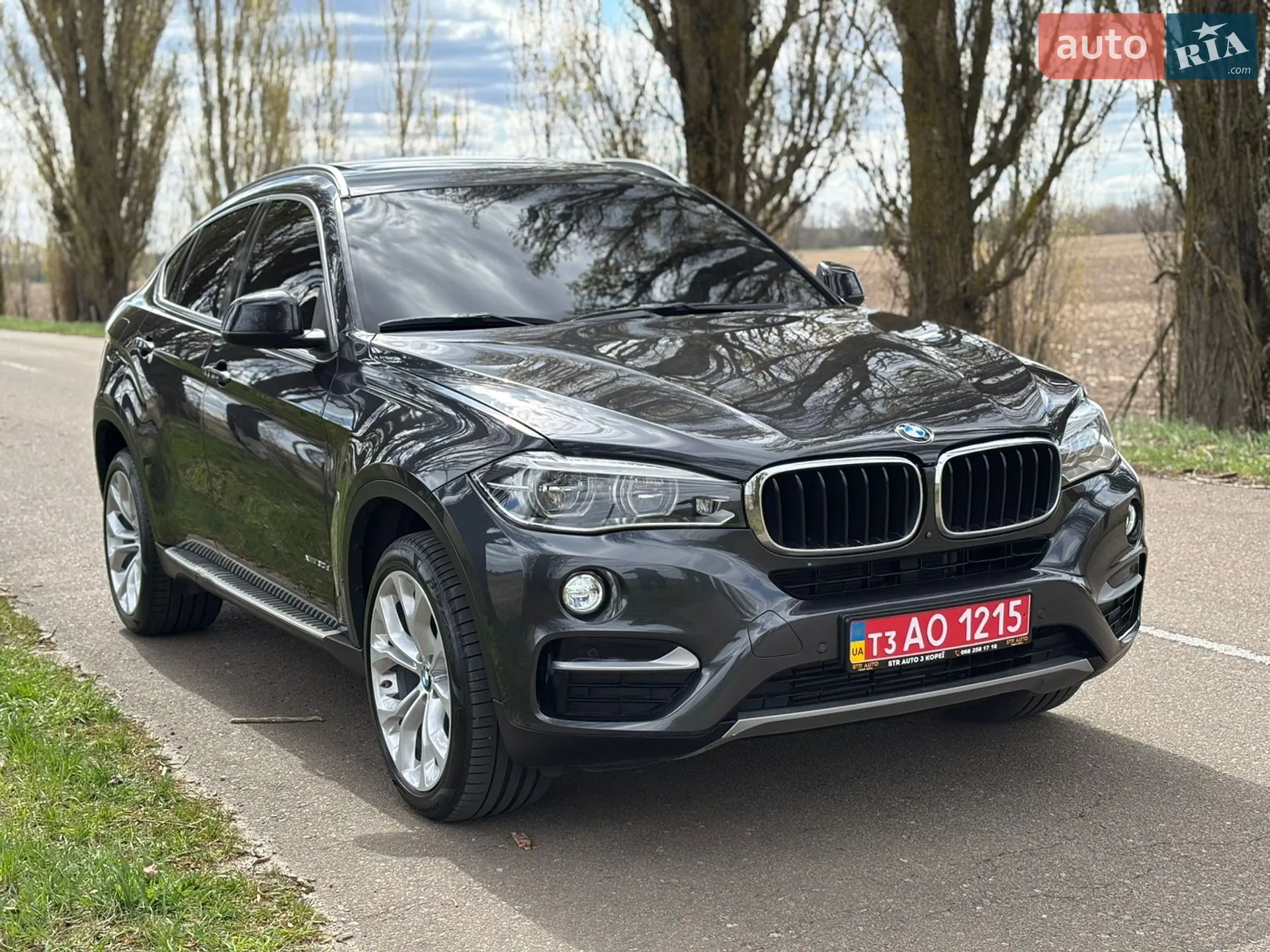 2018 BMW X6 - мініатюра 32