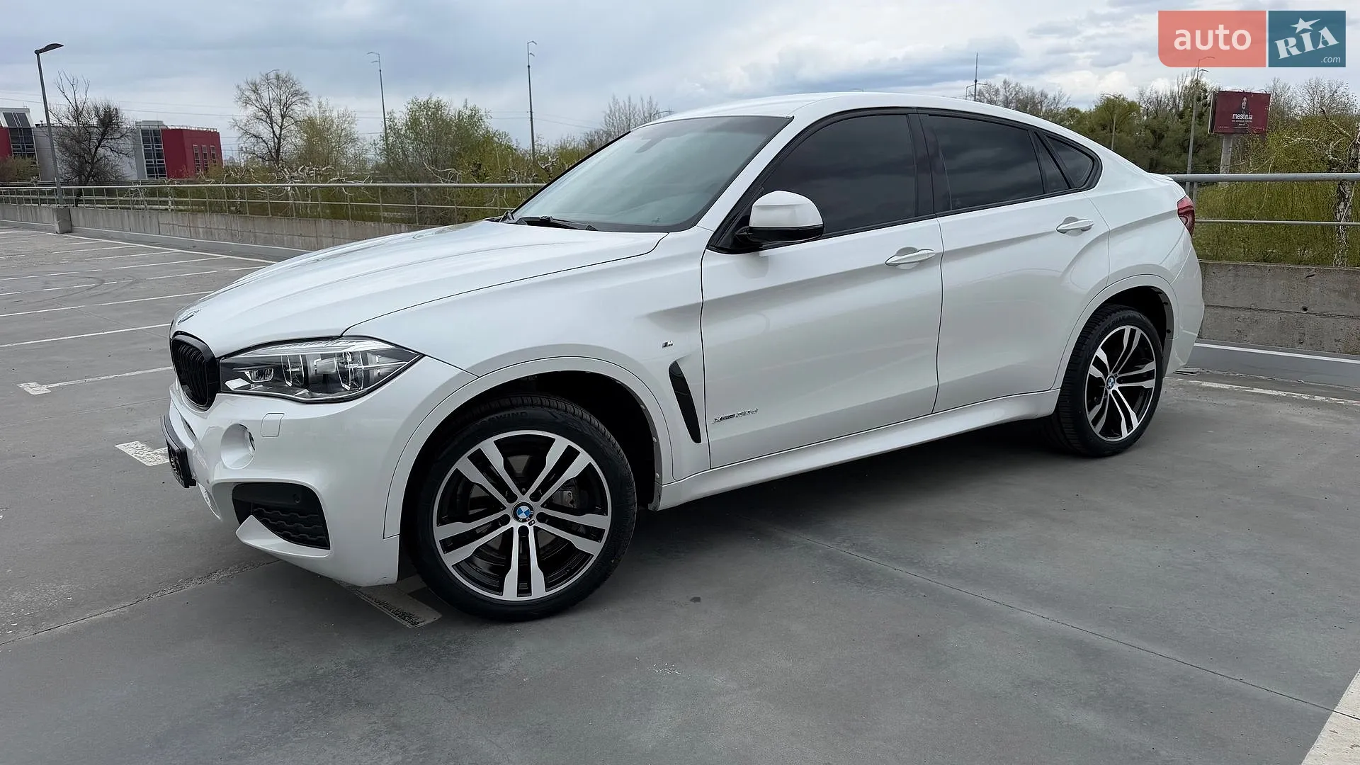 2017 BMW X6 - мініатюра 3