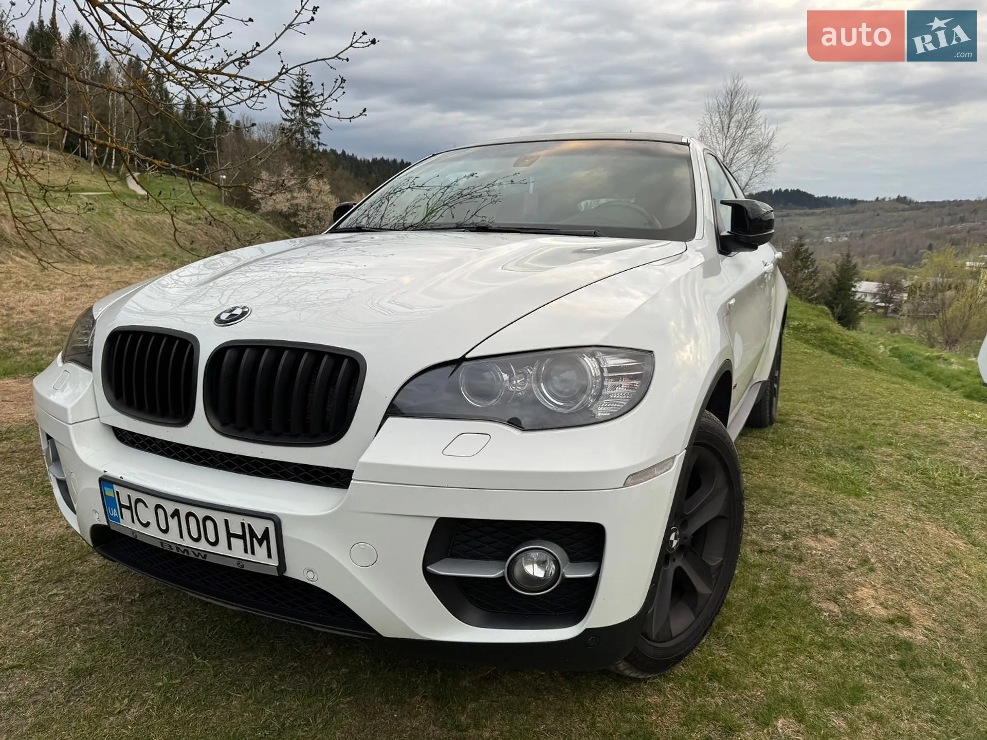 2012 BMW X6 - мініатюра 4