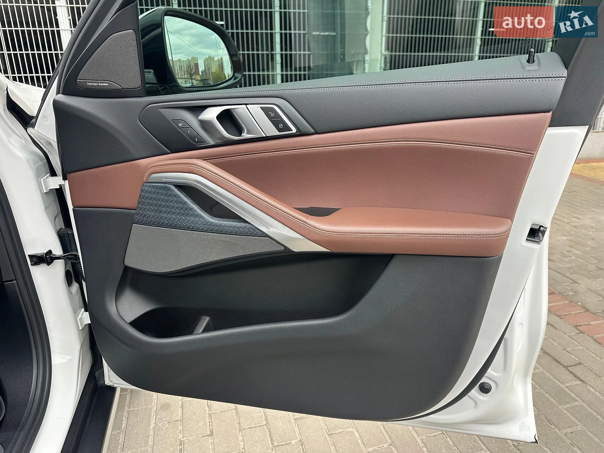 2019 BMW X6 - мініатюра 50