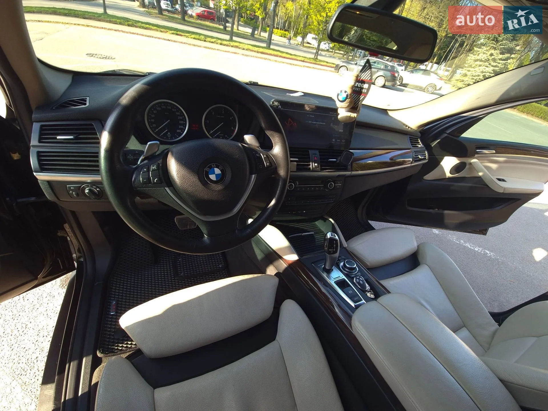 2010 BMW X6 - мініатюра 18