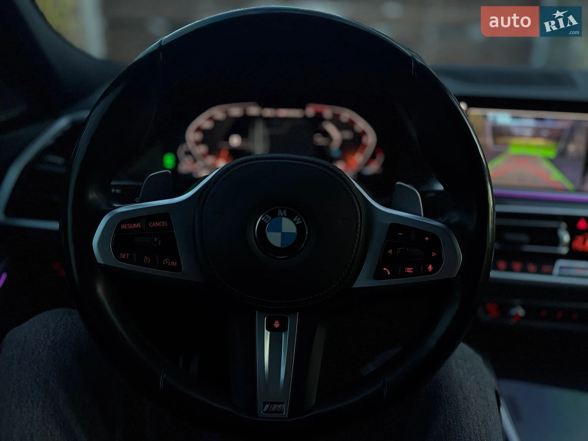 2020 BMW X6 - мініатюра 84