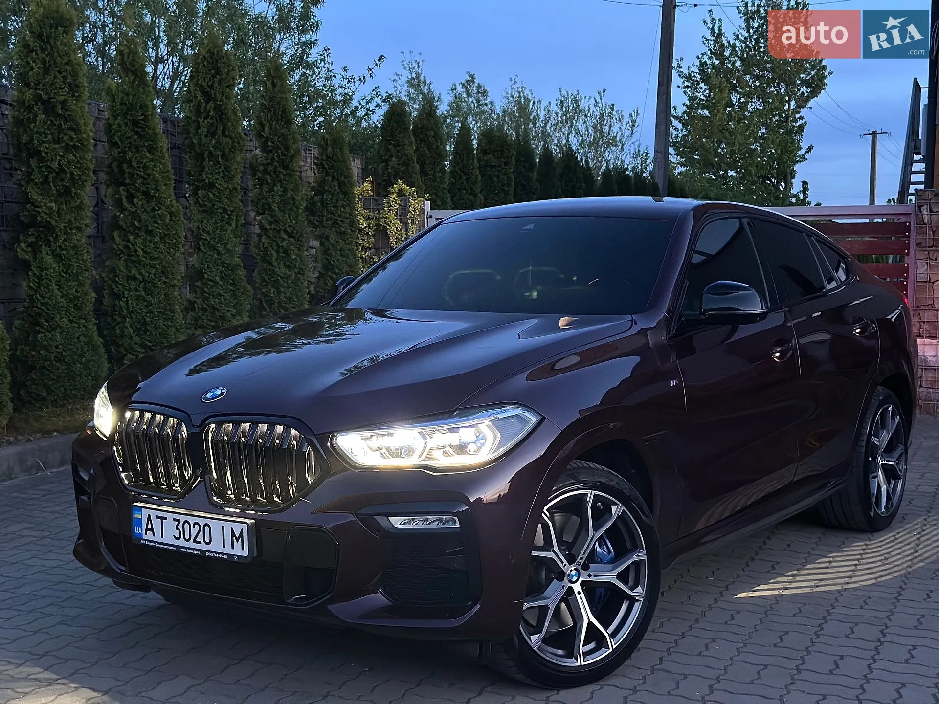 2020 BMW X6 - мініатюра 104
