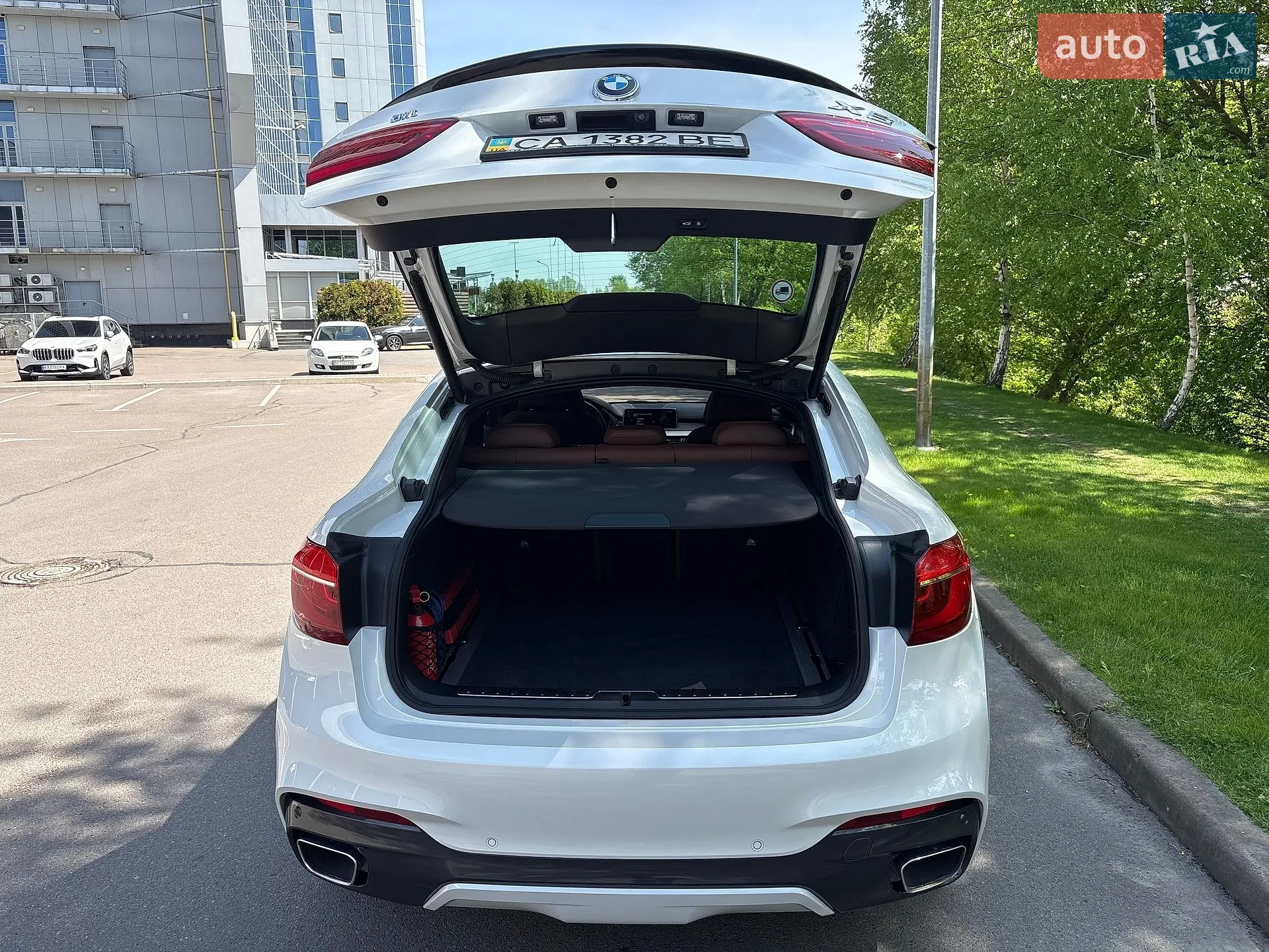 2019 BMW X6 - мініатюра 42