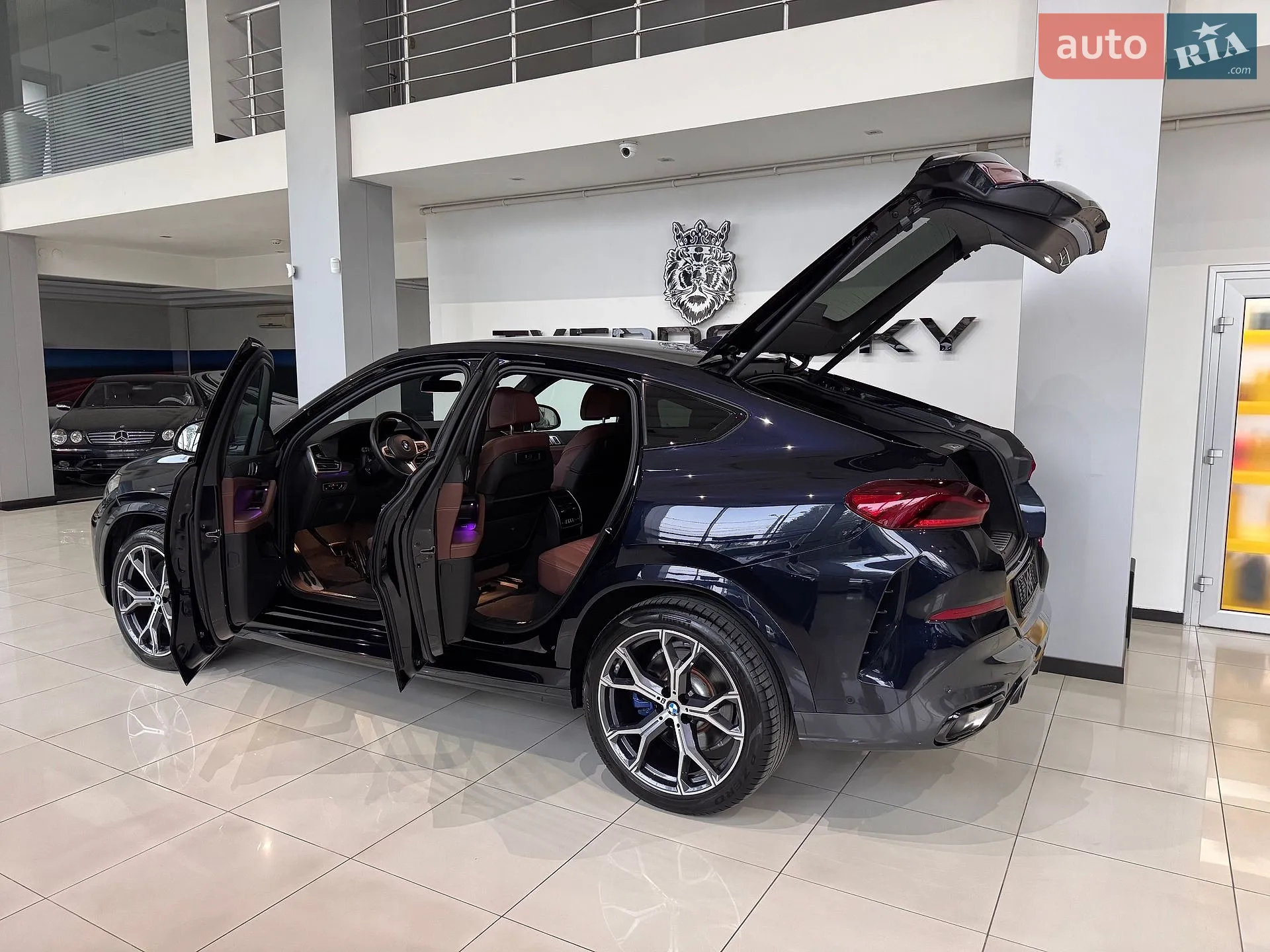 2023 BMW X6 - мініатюра 59