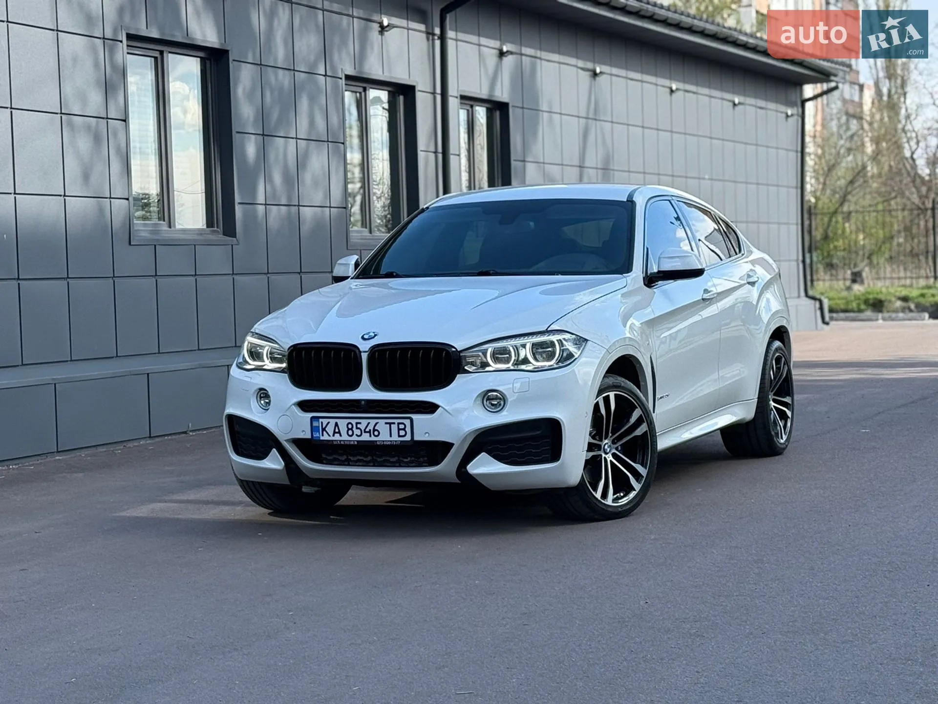 2018 BMW X6 - мініатюра 6