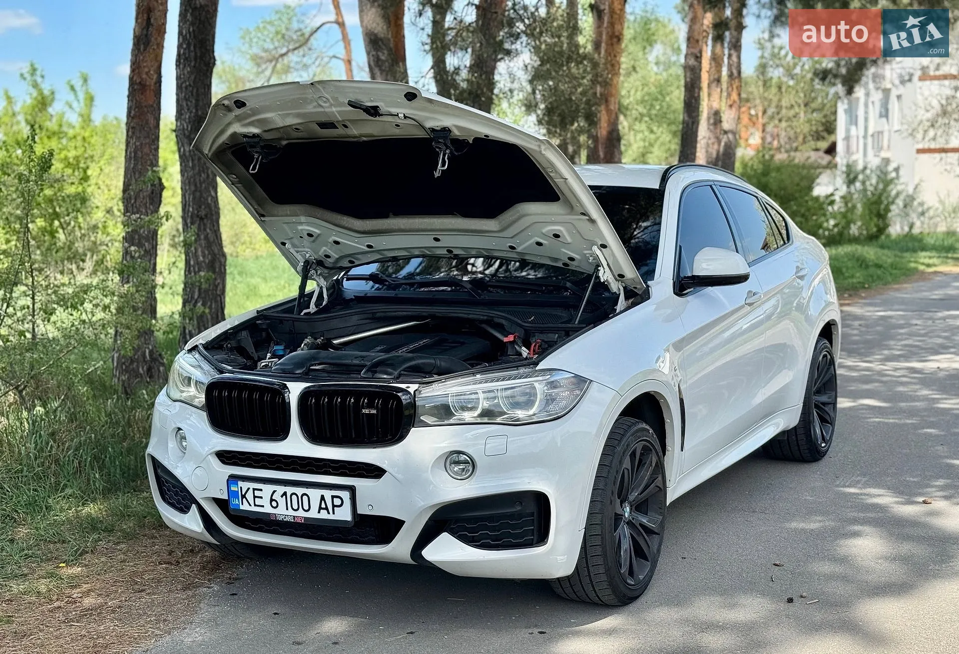 2014 BMW X6 - мініатюра 7