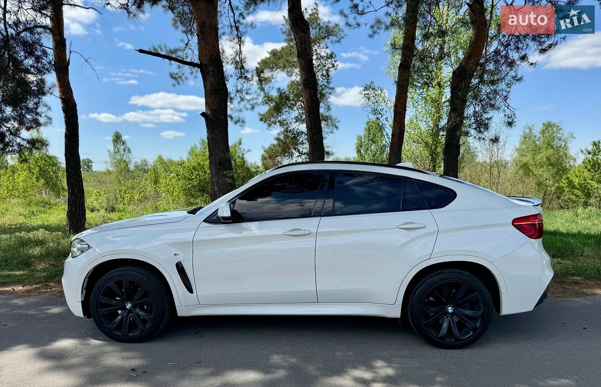 2014 BMW X6 - мініатюра 10