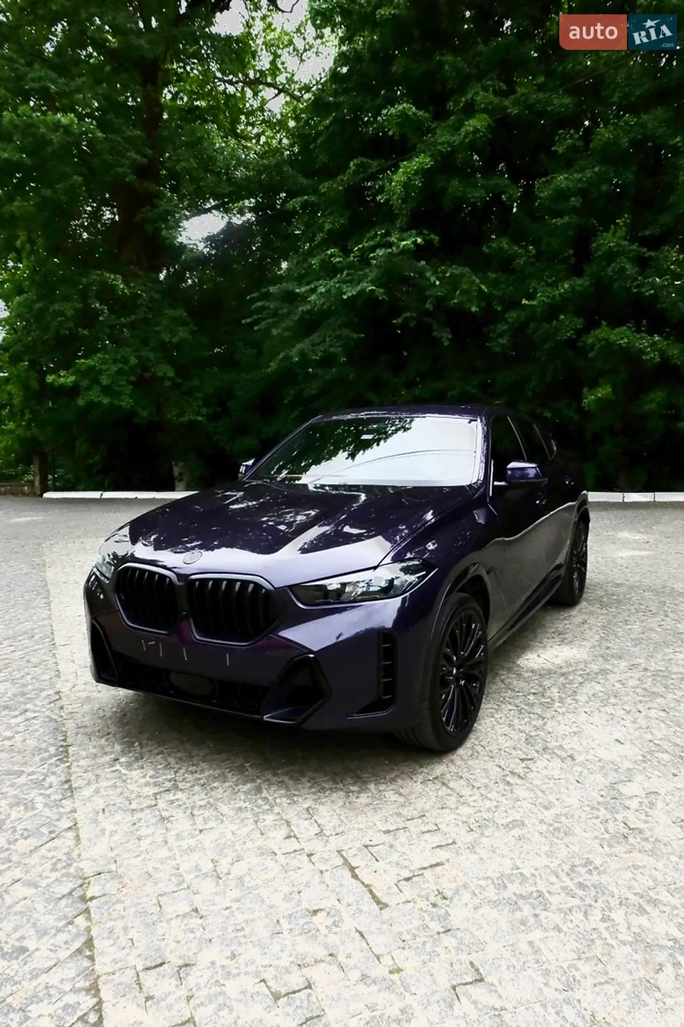 2024 BMW X6 - мініатюра 3