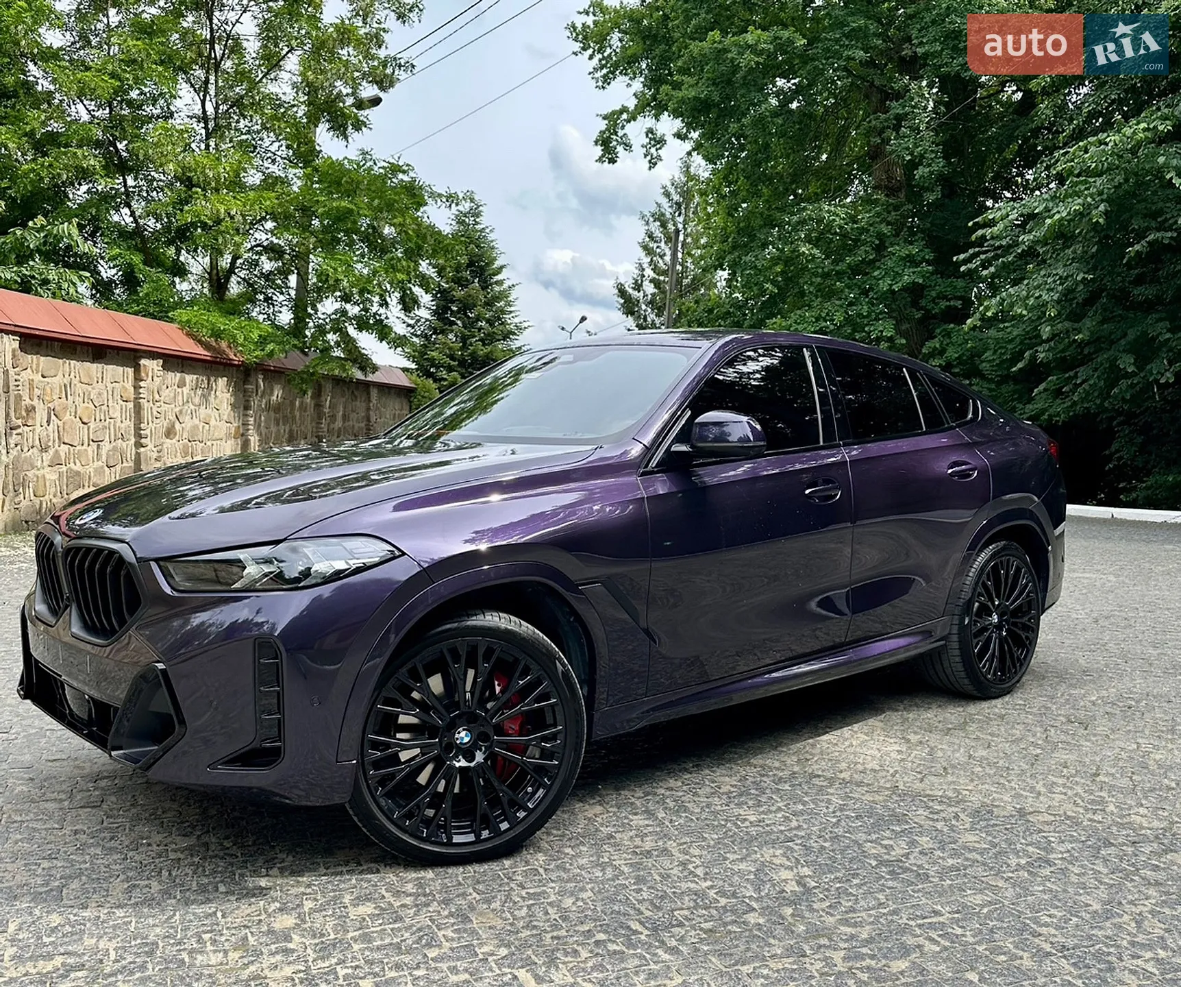 2024 BMW X6 - мініатюра 2