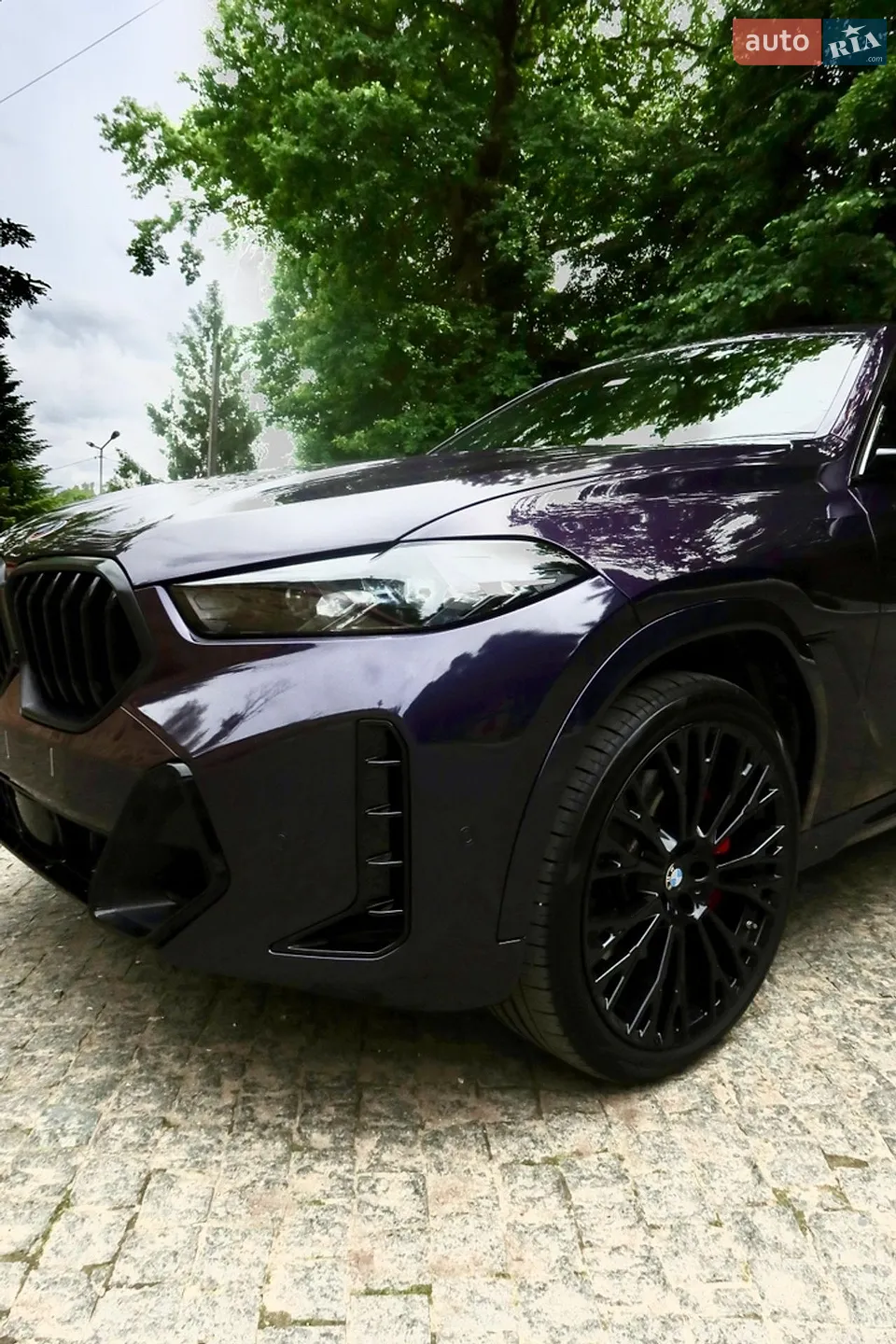 2024 BMW X6 - мініатюра 5