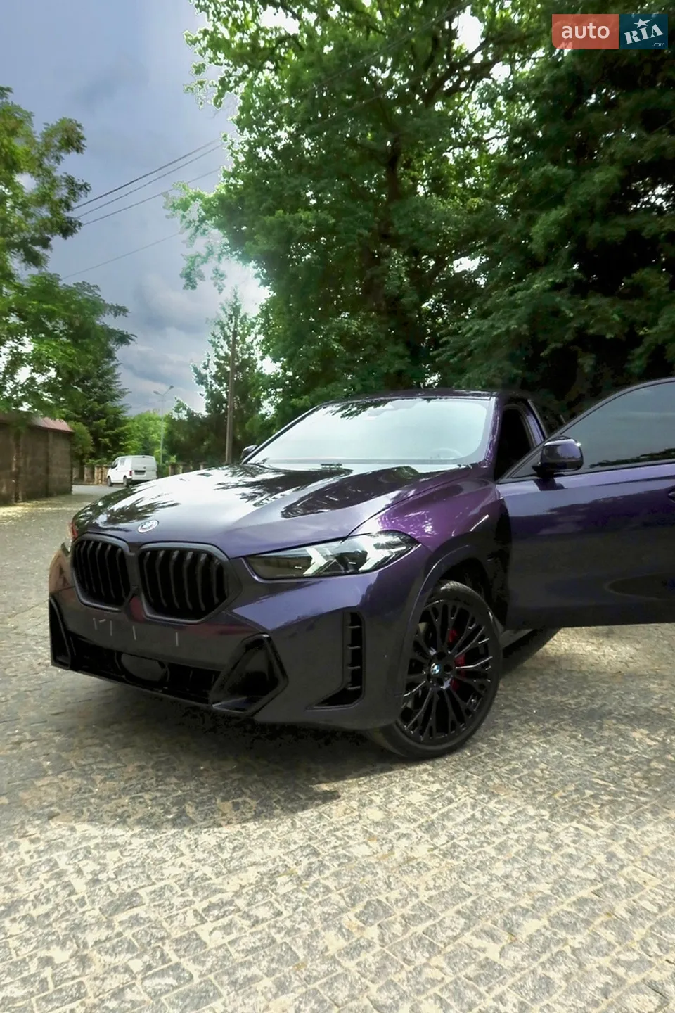 2024 BMW X6 - мініатюра 9