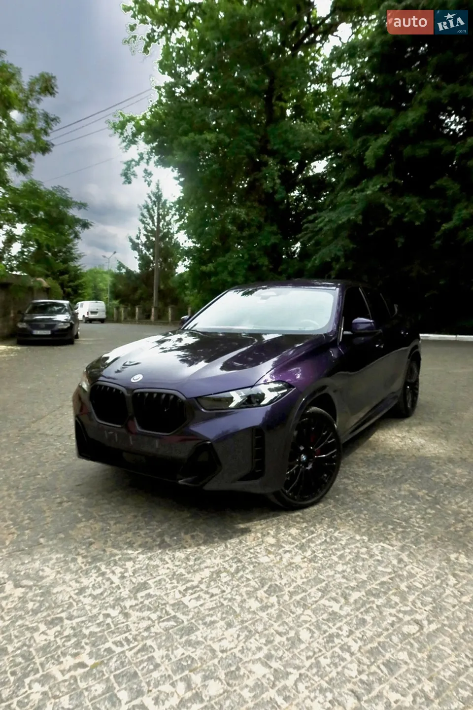 2024 BMW X6 - мініатюра 8