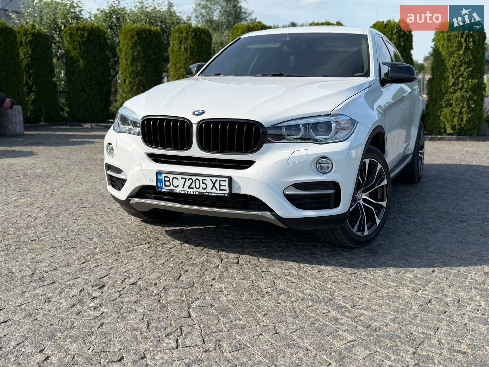 2014 BMW X6 - мініатюра 3