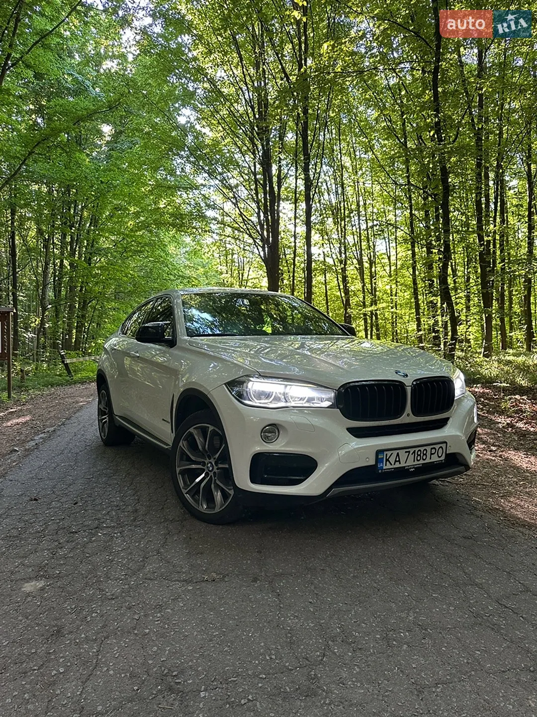 2014 BMW X6 - мініатюра 2