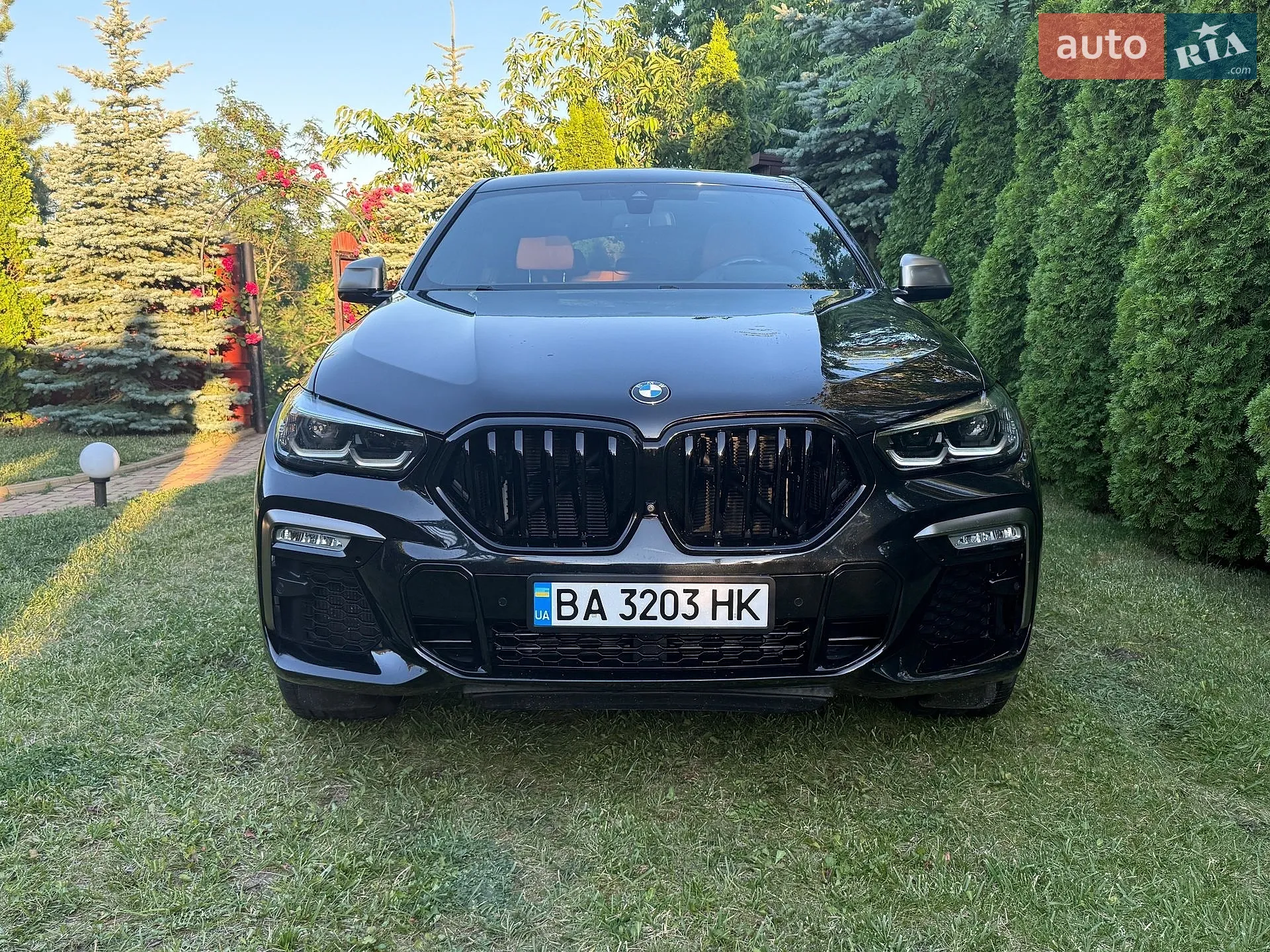 2020 BMW X6 - мініатюра 2