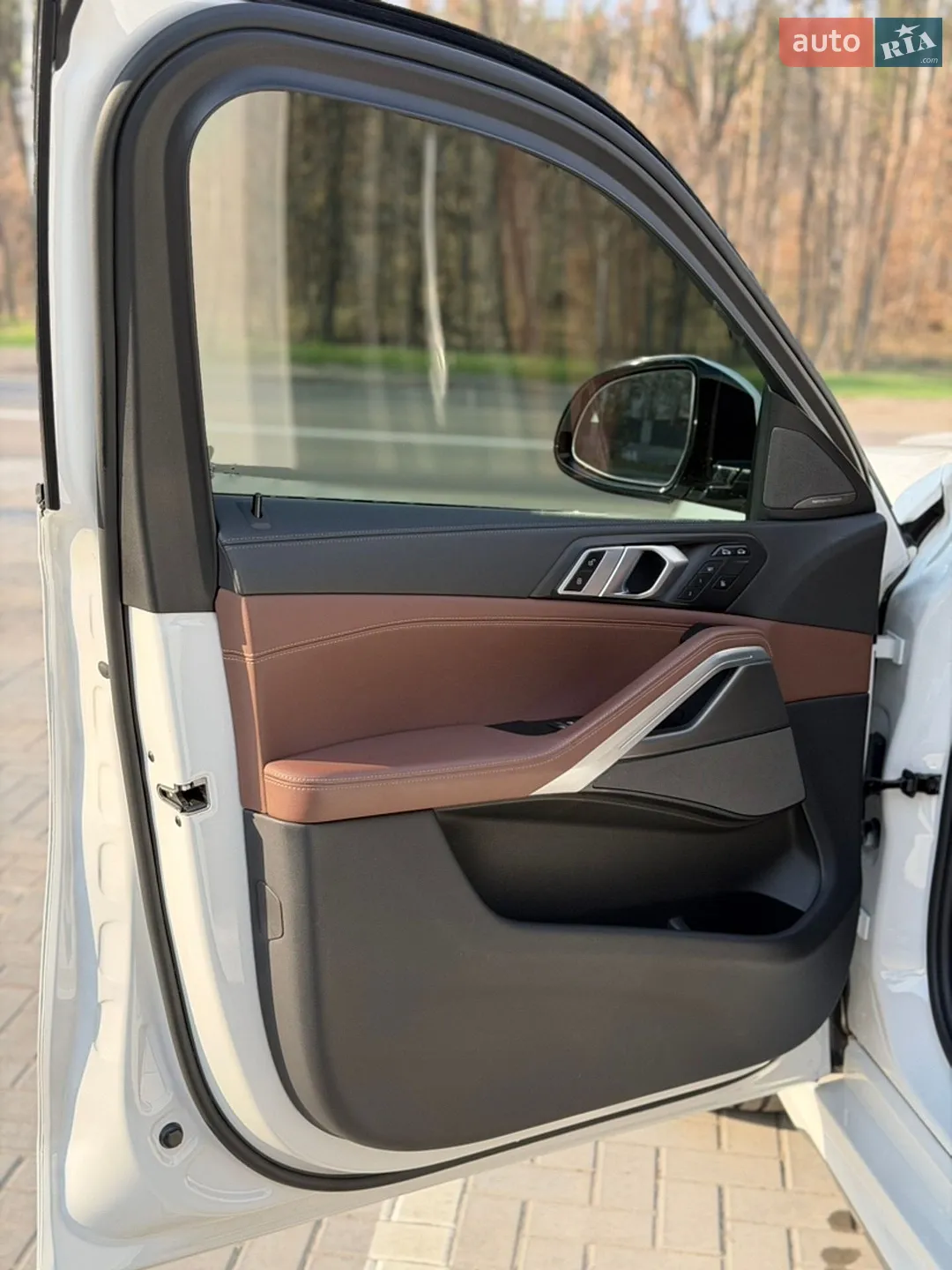 2021 BMW X6 - мініатюра 24