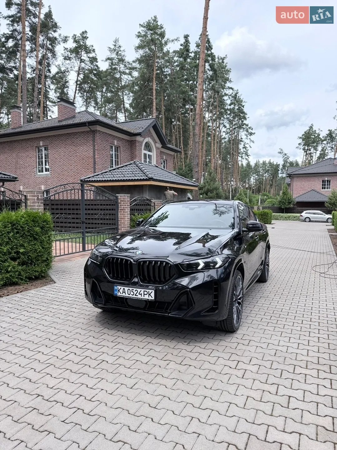 2025 BMW X6 - мініатюра 2