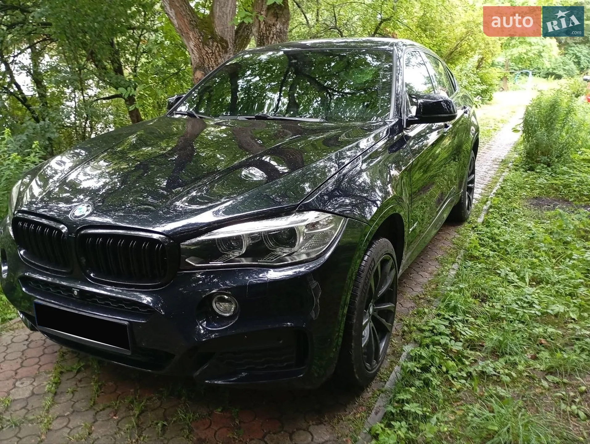 2017 BMW X6 - мініатюра 4