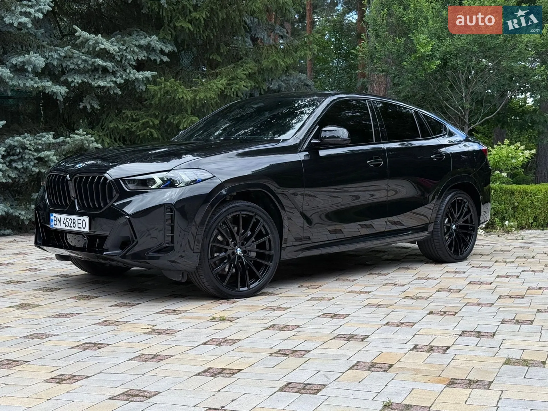2024 BMW X6 - мініатюра 2