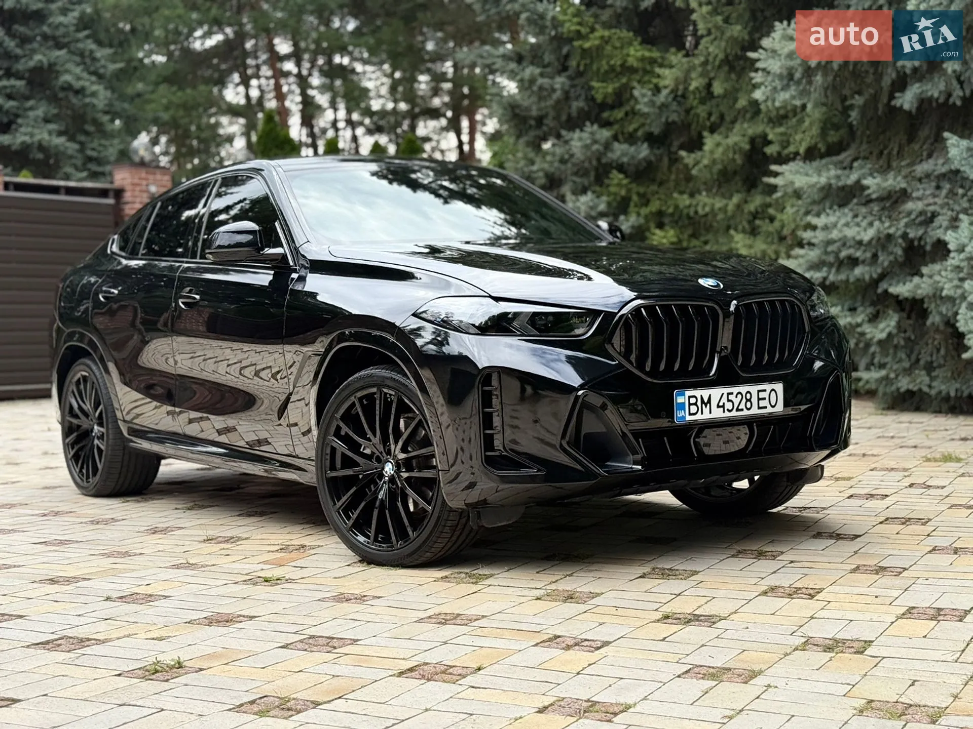 2024 BMW X6 - мініатюра 5