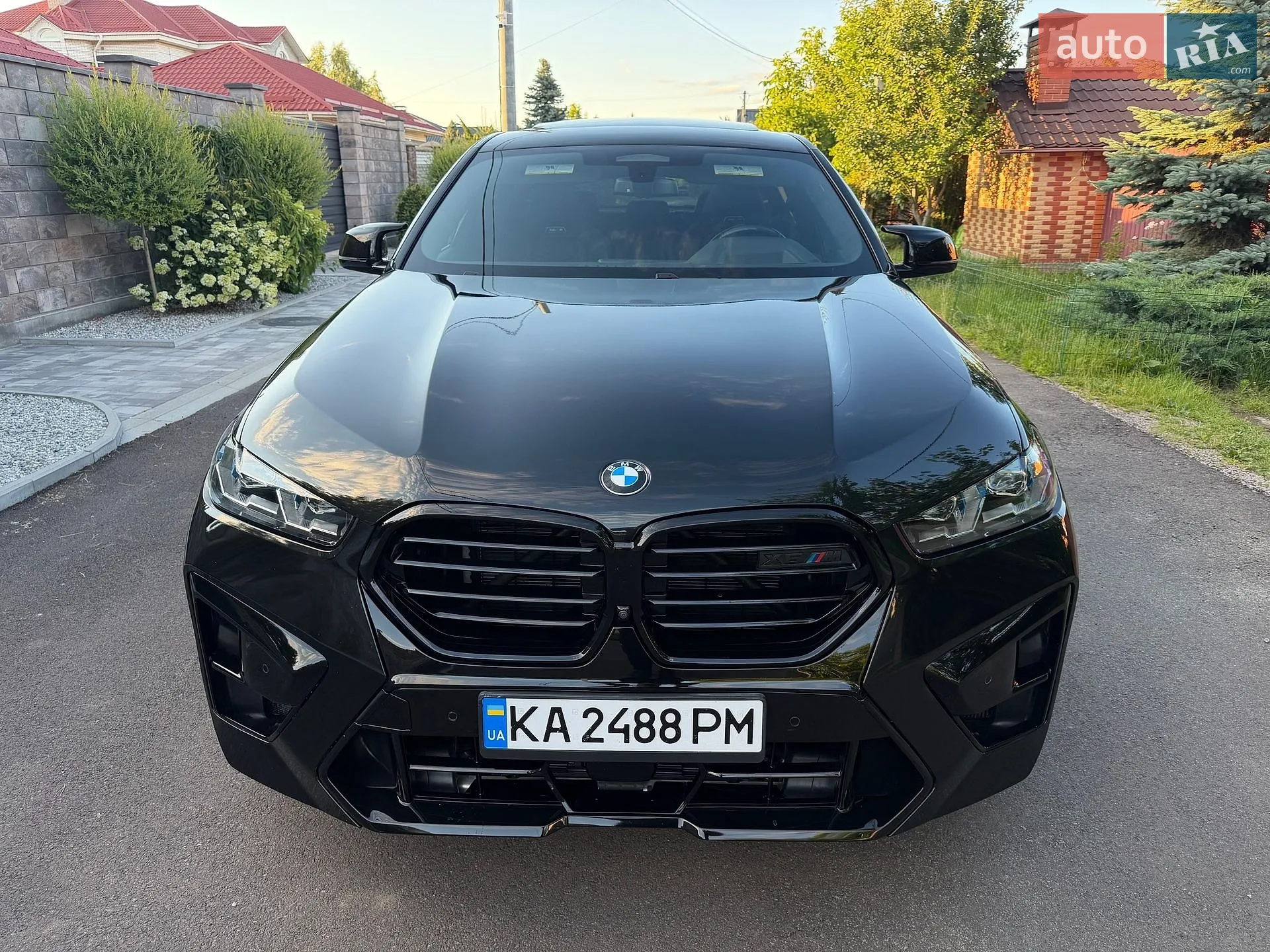2021 BMW X6 - мініатюра 4