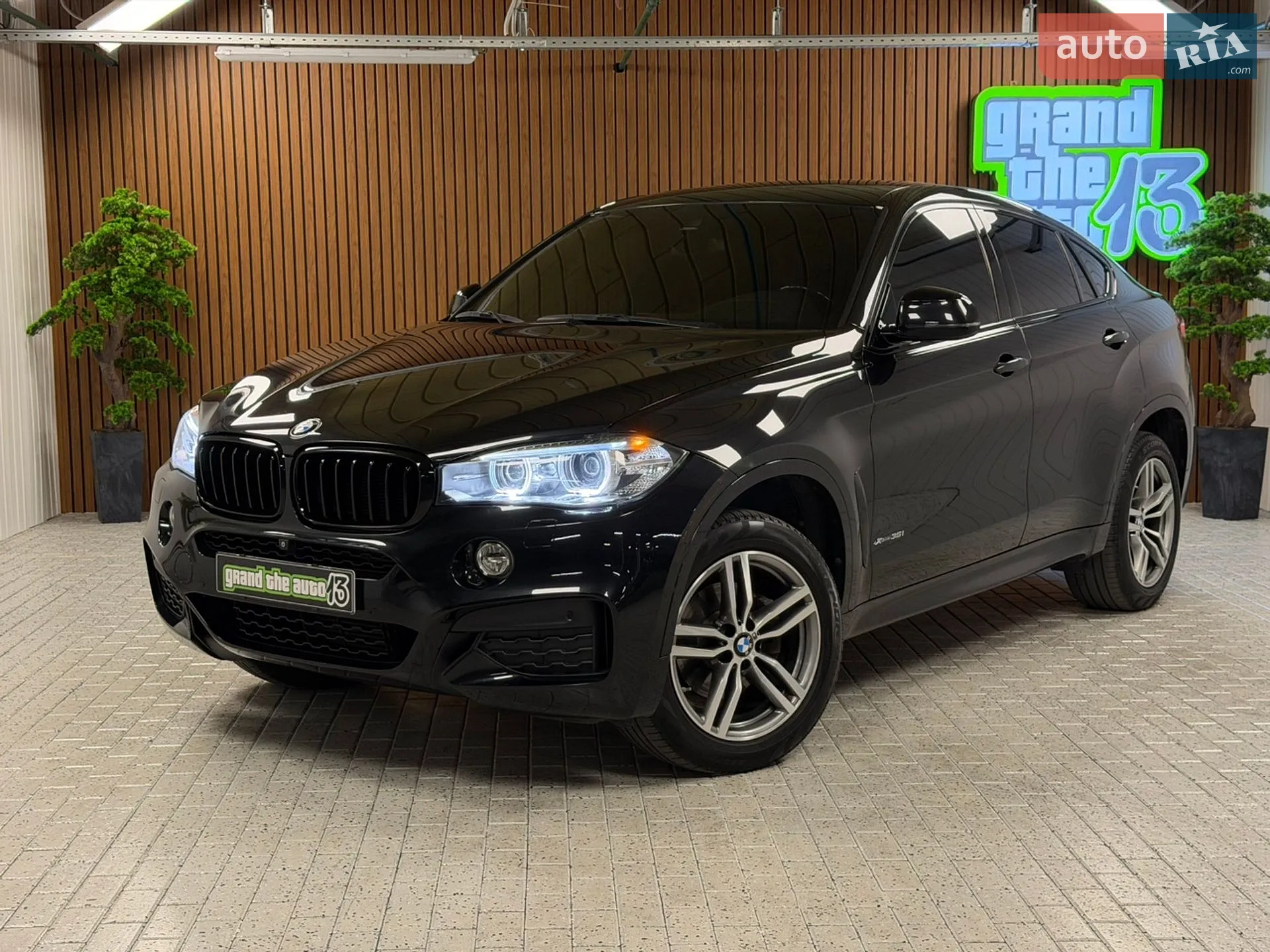 2016 BMW X6 - мініатюра 2