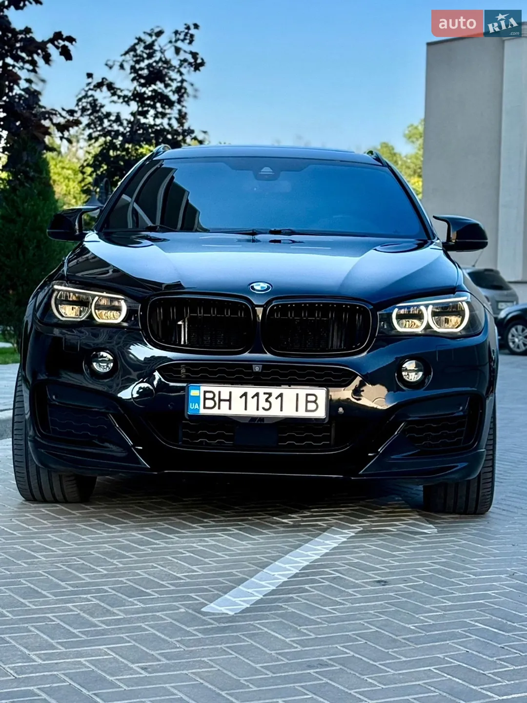 2018 BMW X6 - мініатюра 5