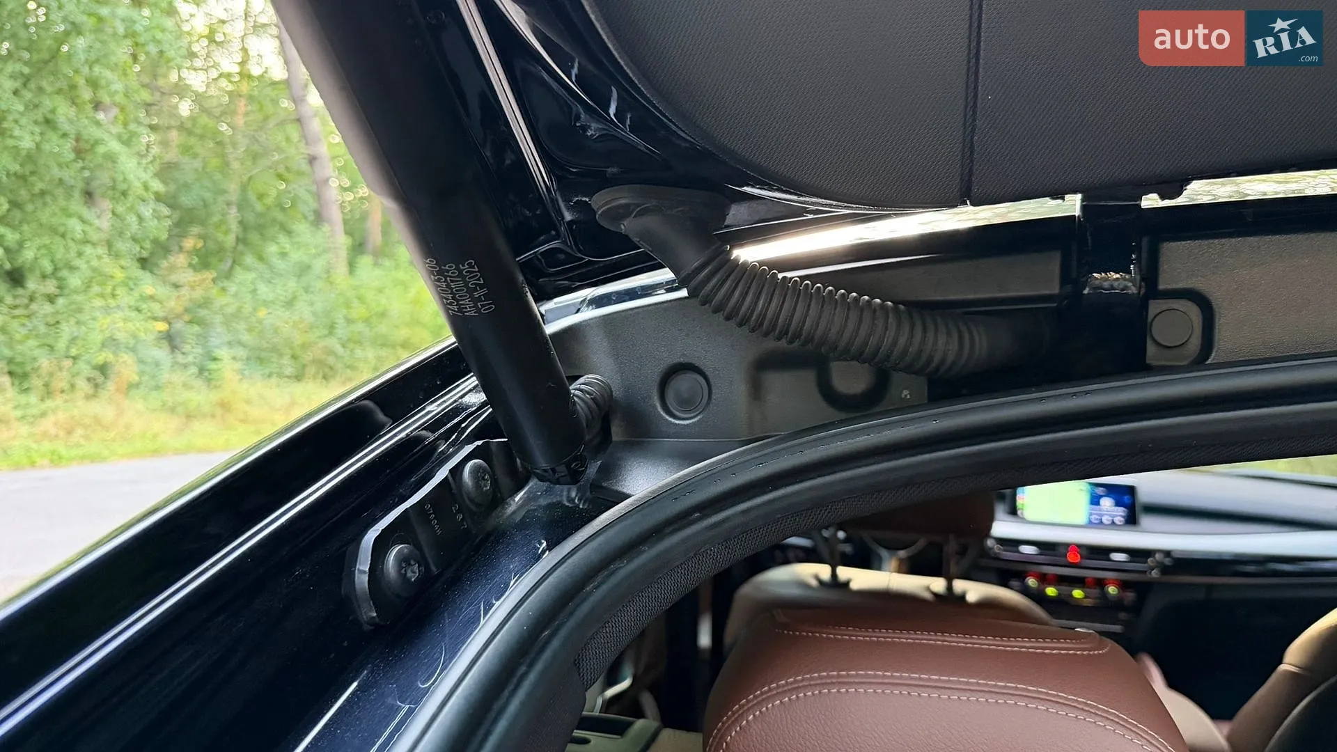 2019 BMW X6 - мініатюра 12