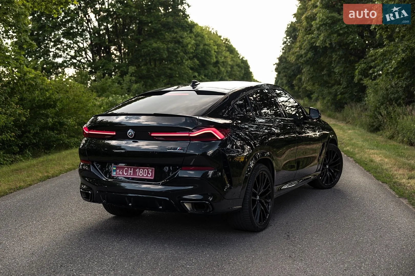 2022 BMW X6 - мініатюра 7