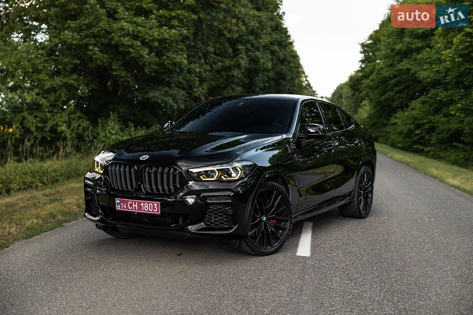 2022 BMW X6 - мініатюра 3